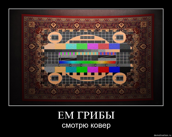 pvvvux5qplcy.jpg.jpeg