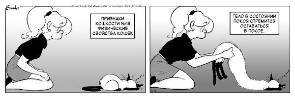 qATDIy_oWYY.jpg.jpeg