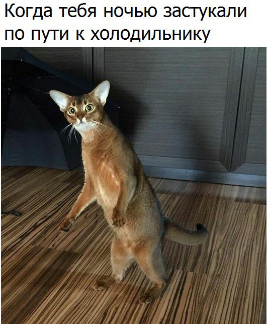 qLSRaOC39Zg.jpg.jpeg