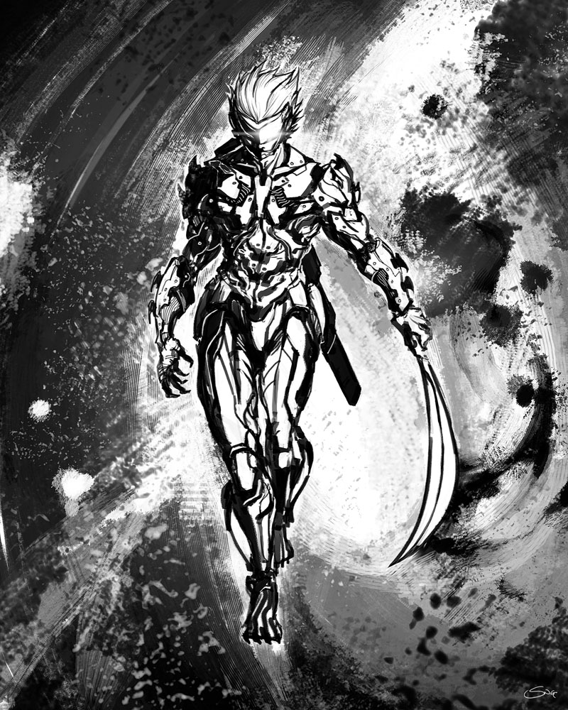 raiden revengeance 2.jpg.jpeg