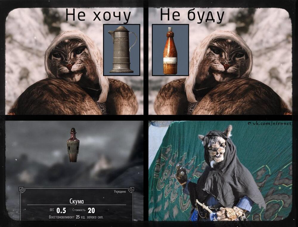 rDmoQsab7Rg.jpg.jpeg