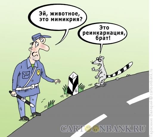 reinkarnaciya.jpg.jpeg
