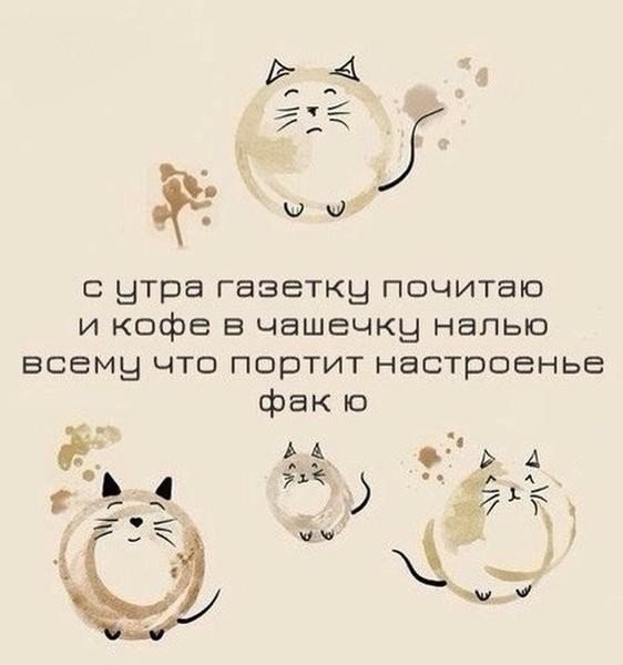RfXjDkxupWE.jpg.jpeg