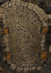 rVzHzClG_150x150.jpg.jpeg