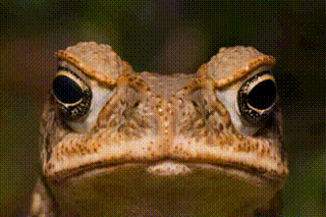 s-4f0bda35ae72eb121d08be09651a1a50d4a8dfbc.gif