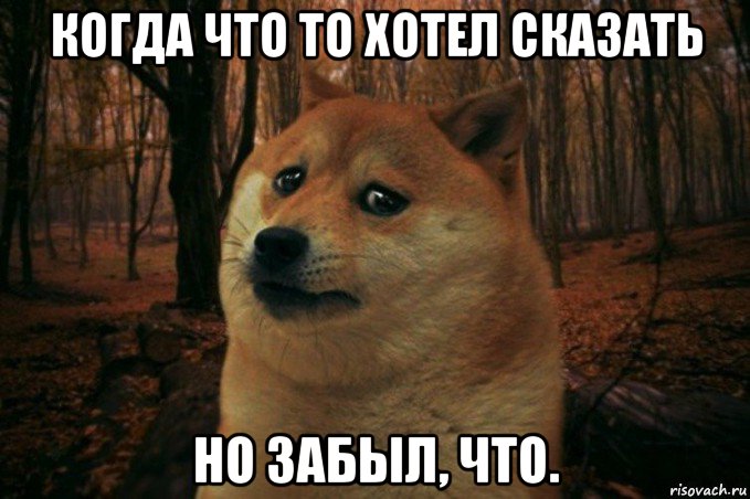 sad-doge_75001700_orig_.jpg.jpeg