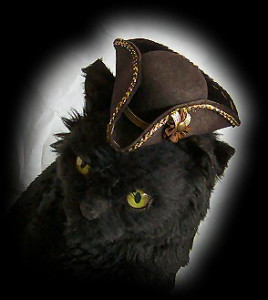 salem_tricorner.jpg.jpeg