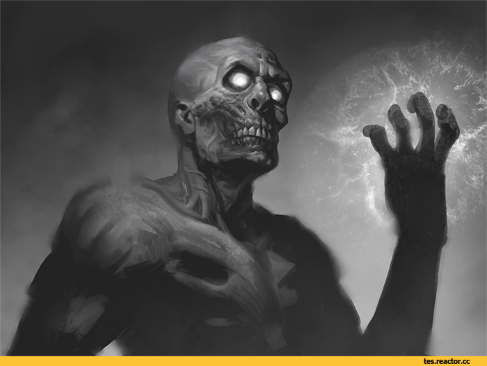 Samarskiy-%D0%94%D1%80%D0%B0%D1%83%D0%B3%D1%80-TES-art-The-Elder-Scrolls-3248178.jpg.jpeg