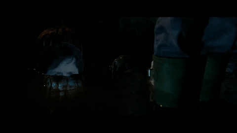 sdcdDao.gif