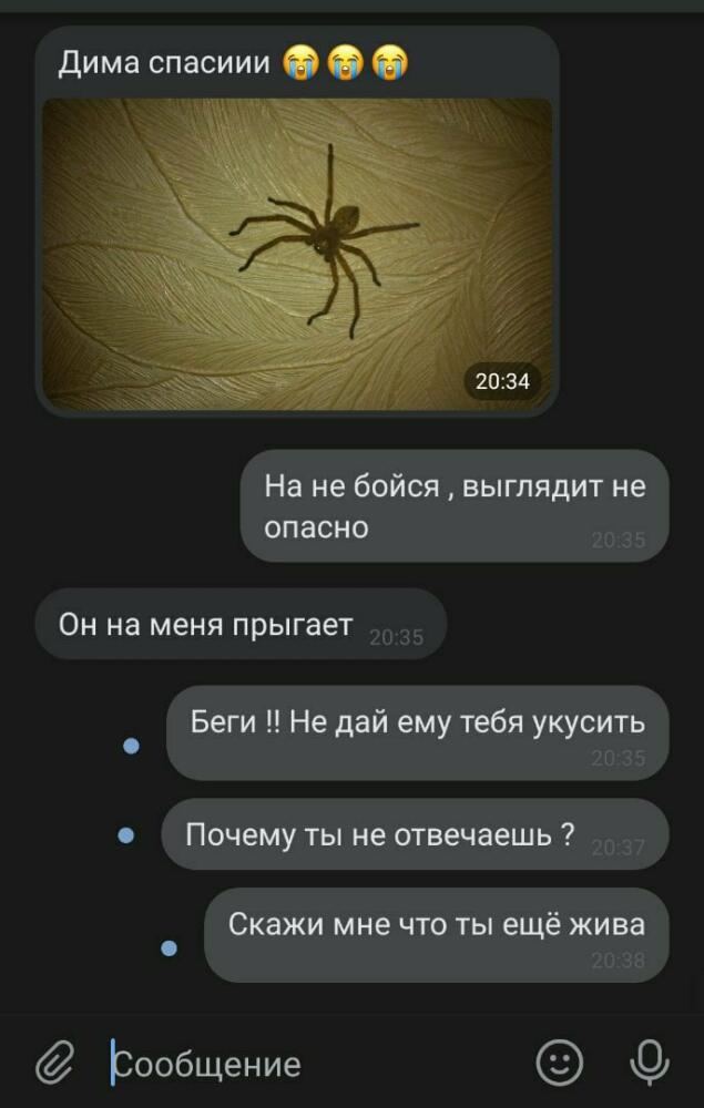 sG9wZu5XZw8.jpg.jpeg