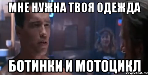 shvarcneger_13158168_orig_.png.png