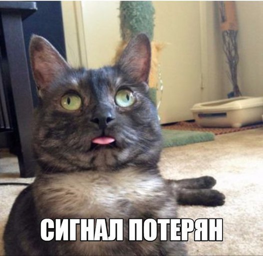 signal-poteryan-open.jpg.jpeg