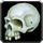 SkullHuman.png.png
