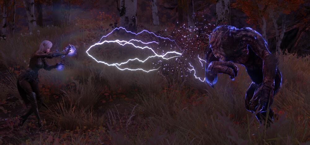 SKYRIM-2019-02-05-06-30-29-904.jpg.jpeg