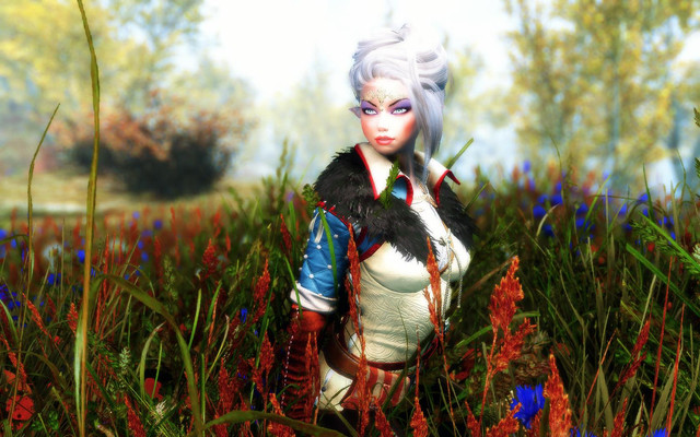 Skyrim_SE_2017_12_01_18_55_57_21.jpg.jpeg