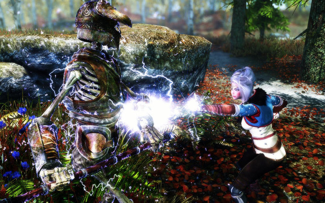 Skyrim_SE_2017_12_01_19_03_14_82.jpg.jpeg