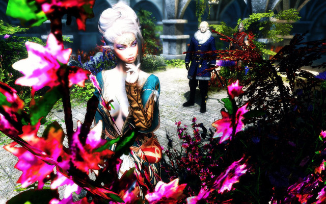 Skyrim_SE_2017_12_01_20_08_13_65.jpg.jpeg
