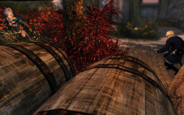 Skyrim_SE_2017_12_01_20_22_33_03.jpg.jpeg
