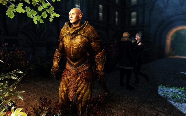 Skyrim_SE_2017_12_01_20_40_53_35.jpg.jpeg