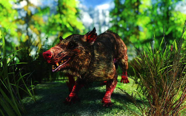 Skyrim-SE-2019-01-17-11-53-54-56.jpg.jpeg