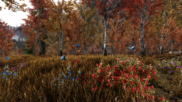 Skyrim-SE-2019-08-12-14-15-40-55.jpg.jpeg