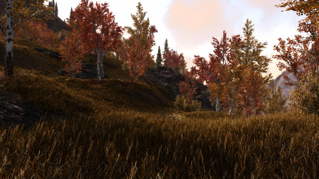 Skyrim-SE-2019-08-12-14-50-14-41.jpg.jpeg