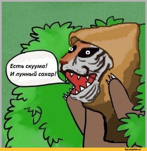 Skyrim-The-Elder-Scrolls-%D1%84%D1%8D%D0%BD%D0%B4%D0%BE%D0%BC%D1%8B-Oessi-1453160.jpg.jpeg