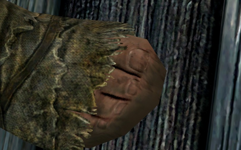 Skyrim-The-Elder-Scrolls-%D1%84%D1%8D%D0%BD%D0%B4%D0%BE%D0%BC%D1%8B-Skyrim-SE-2427995.jpg.jpeg