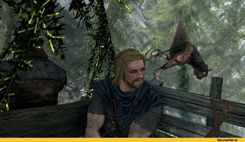 Skyrim-The-Elder-Scrolls-%D1%84%D1%8D%D0%BD%D0%B4%D0%BE%D0%BC%D1%8B-Skyrim-SE-3451955.jpg.jpeg