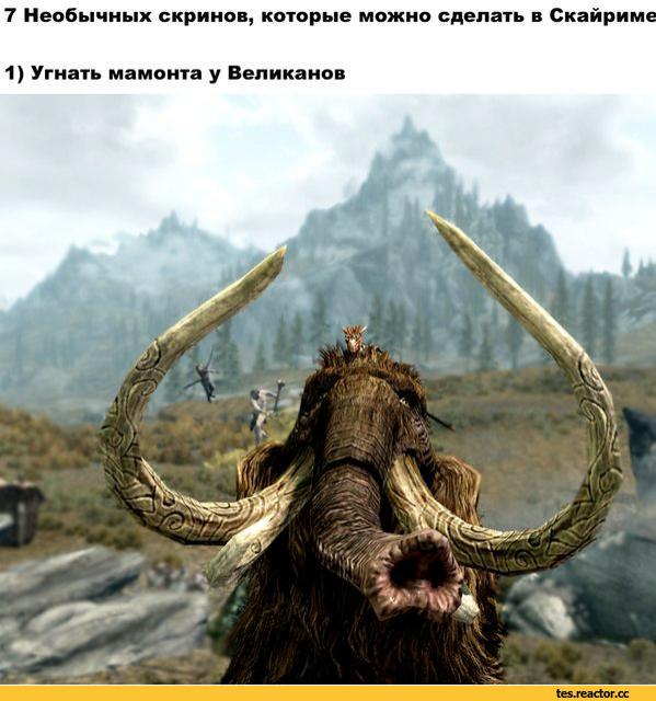 Skyrim-The-Elder-Scrolls-%D1%84%D1%8D%D0%BD%D0%B4%D0%BE%D0%BC%D1%8B-%D1%81%D0%BF%D0%B8%D0%B7%D0%B6%D0%B5%D0%BD%D0%BE-1643986.jpg.jpeg