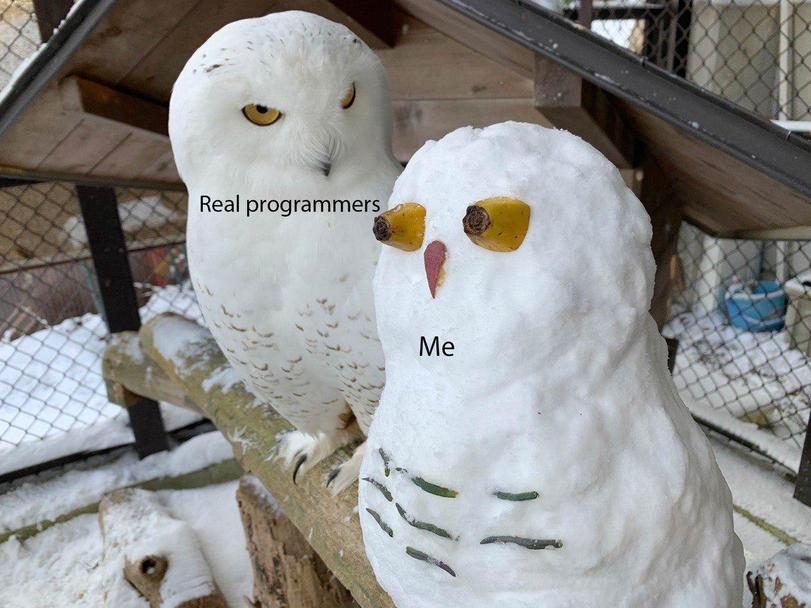 slwkjljjyzpqham4feto7uw7nq0.jpeg