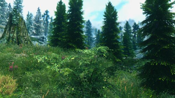 The Elder Scrolls V Skyrim