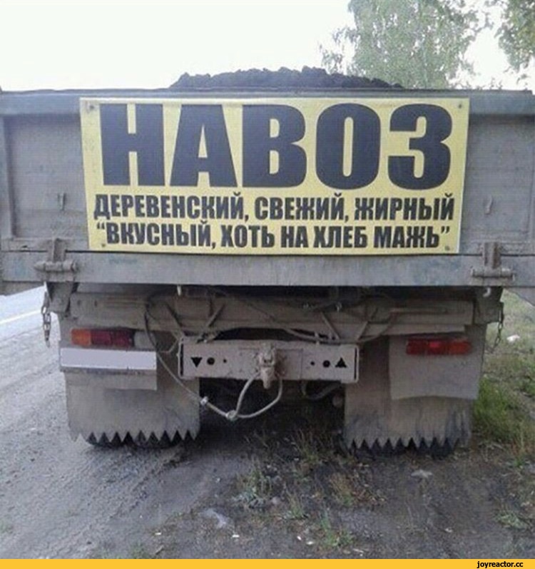 %D1%81%D0%BC%D0%B5%D1%88%D0%BD%D1%8B%D0%B5-%D0%BA%D0%B0%D1%80%D1%82%D0%B8%D0%BD%D0%BA%D0%B8-%D1%80%D0%B5%D0%BA%D0%BB%D0%B0%D0%BC.jpeg