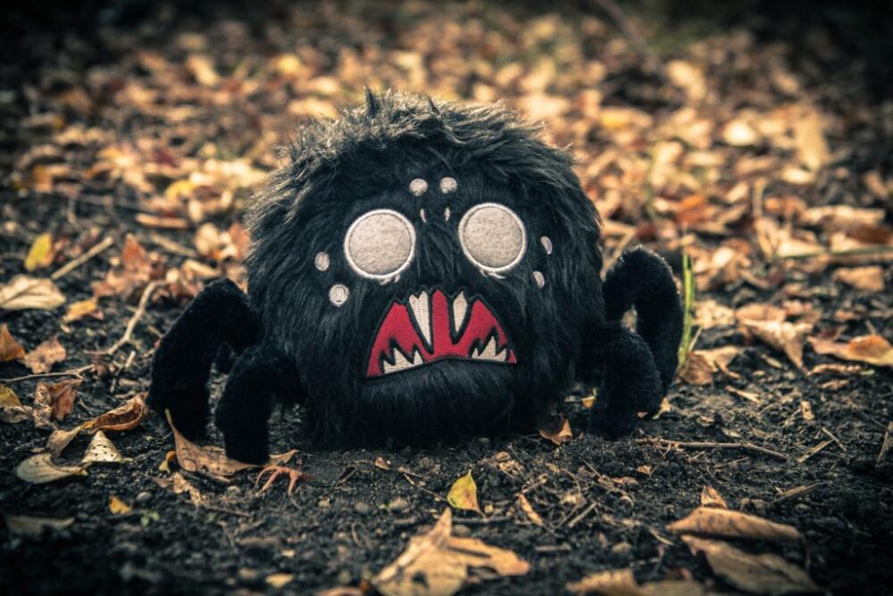 Spider__10_of_9_-1024x683.jpg.jpeg