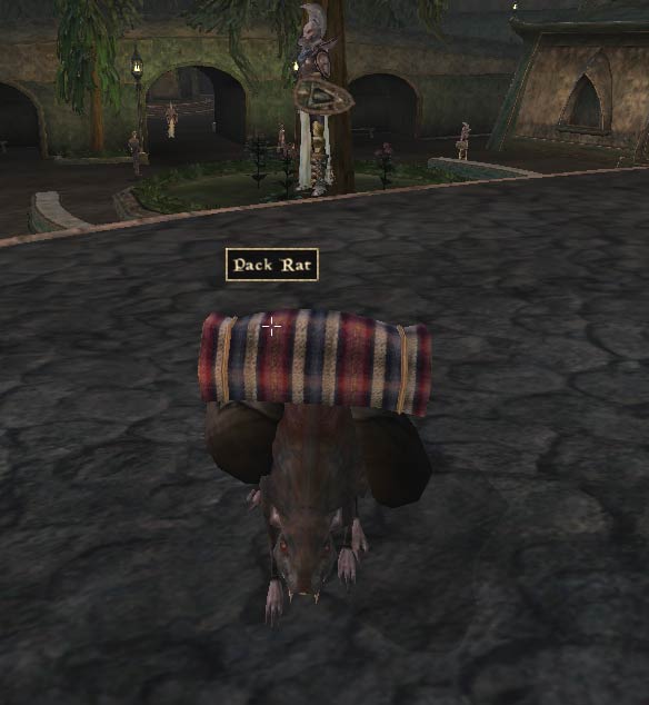Squeakers.jpg.jpeg