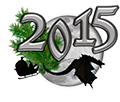 Участник новогоднего конкурса 2015