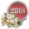 Лауреат новогоднего конкурса 2018