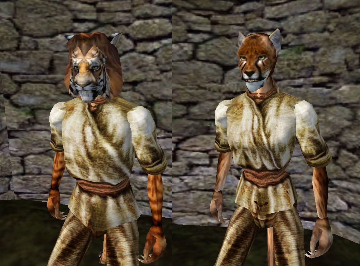 TES-3.Morrowind%20-%20Khajiit.jpg.jpeg