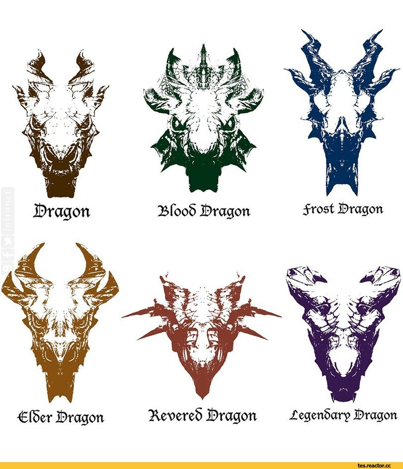TES-art-The-Elder-Scrolls-%D1%84%D1%8D%D0%BD%D0%B4%D0%BE%D0%BC%D1%8B-Skyrim-1625635.jpg.jpeg