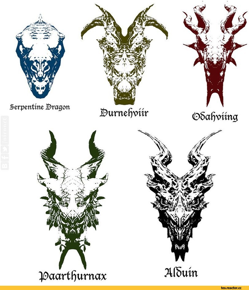 TES-art-The-Elder-Scrolls-%D1%84%D1%8D%D0%BD%D0%B4%D0%BE%D0%BC%D1%8B-Skyrim-1625636.jpg.jpeg