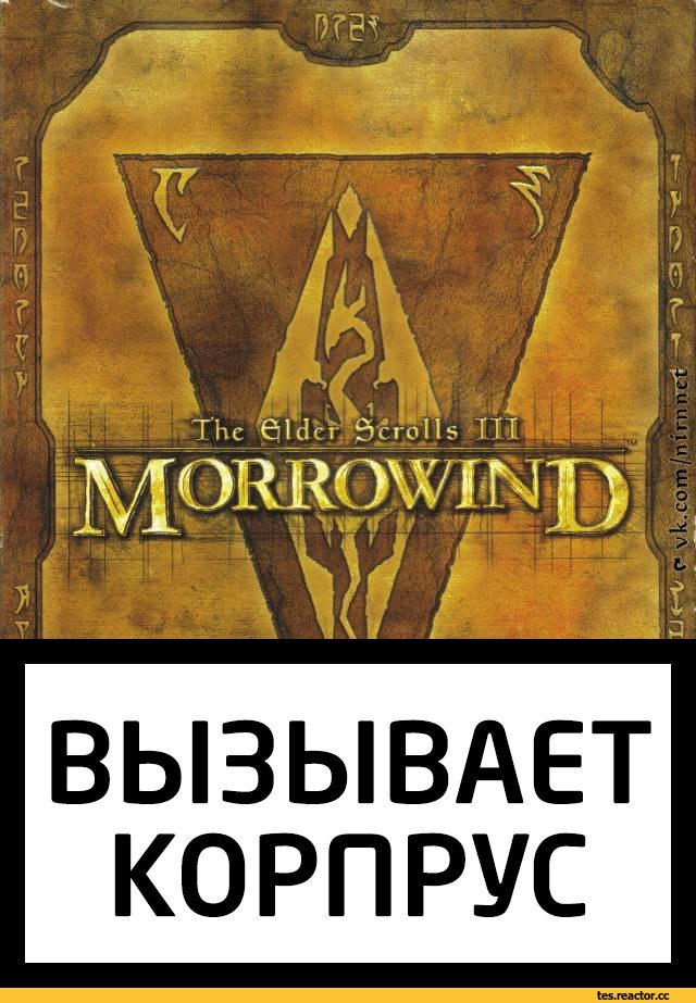 TES-Other-The-Elder-Scrolls-%D1%84%D1%8D%D0%BD%D0%B4%D0%BE%D0%BC%D1%8B-Arena-%28TES%29-2053262.jpeg