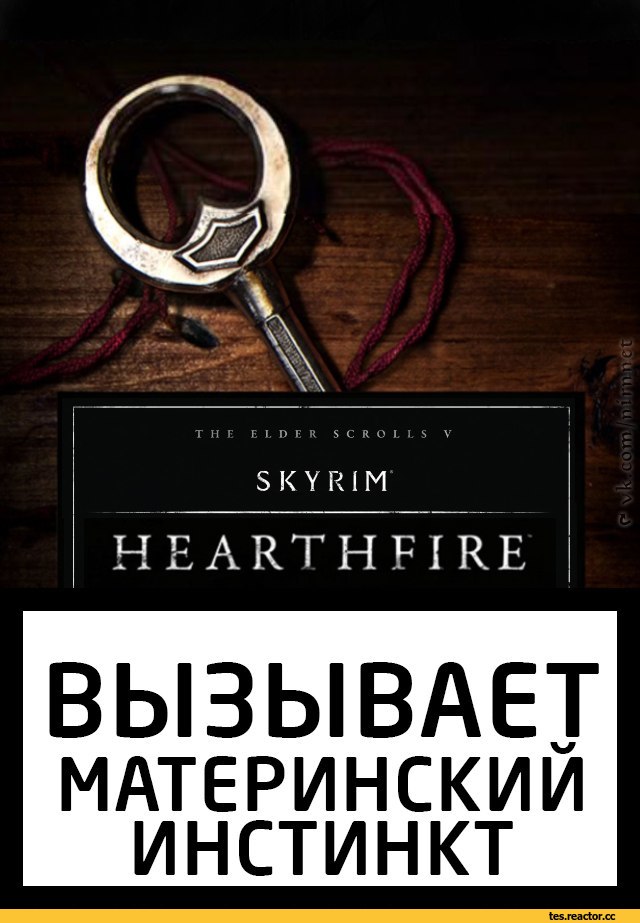 TES-Other-The-Elder-Scrolls-%D1%84%D1%8D%D0%BD%D0%B4%D0%BE%D0%BC%D1%8B-Arena-%28TES%29-2053269.jpeg