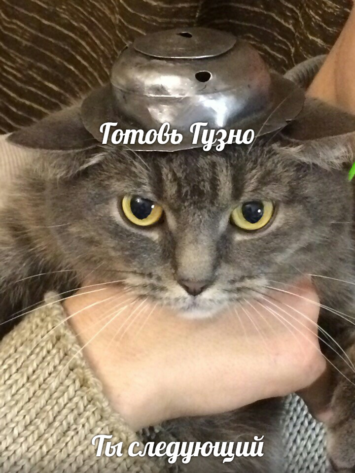 TgNpwoY9qrs.jpg.jpeg