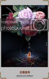th_Rose_and_koi_by_hiliuyun.jpg.jpeg