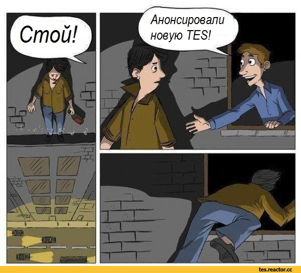 The-Elder-Scrolls-%D1%84%D1%8D%D0%BD%D0%B4%D0%BE%D0%BC%D1%8B-E3-%D0%98%D0%B3%D1%80%D1%8B-3003523.jpeg