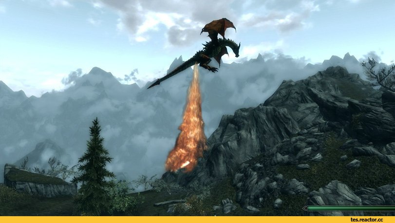 The-Elder-Scrolls-%D1%84%D1%8D%D0%BD%D0%B4%D0%BE%D0%BC%D1%8B-Skyrim-1462095.jpeg