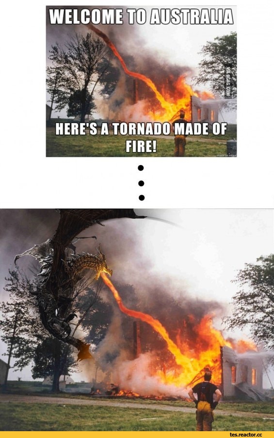 The-Elder-Scrolls-%D1%84%D1%8D%D0%BD%D0%B4%D0%BE%D0%BC%D1%8B-Skyrim-%D0%90%D0%BB%D0%B4%D1%83%D0%B8%D0%BD-1635444.jpg.jpeg
