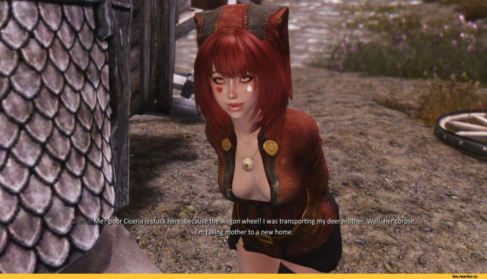 The-Elder-Scrolls-%D1%84%D1%8D%D0%BD%D0%B4%D0%BE%D0%BC%D1%8B-Skyrim-Cicero-1855405.jpg.jpeg