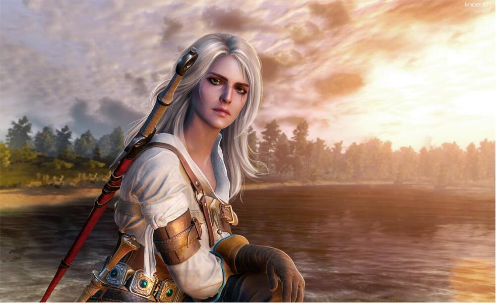 the_witcher_3_by_linceeslanieva-d94xo1m.jpg.jpeg