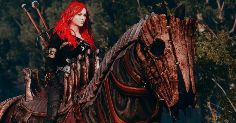 The-Witcher-3-Super-Resolution-2019-05-16-09-47-21-40.jpg.jpeg